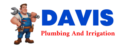 Trusted plumber in FORT DAVIS